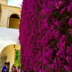 Seville_Alcazar_Whattodo_UltimateGuide_Moorish_GameofThrones_Set_Seville_Spain_Trip.jpg
