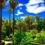 Sevilla, Seville, Spain, Travel, Europe, Photography, Trip, Guide