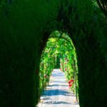 Alhambra photography travel guide what to see what to do