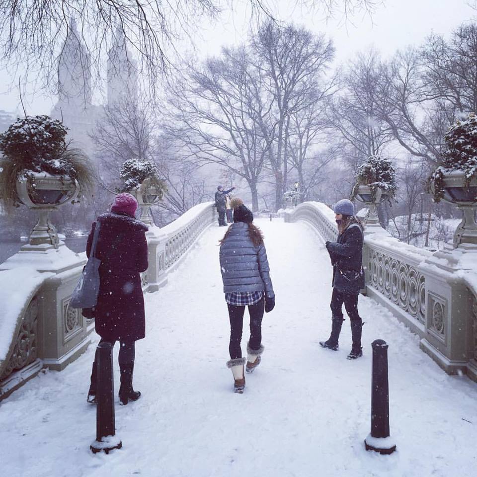 Things to Do in Central Park NYC: The Ultimate Guide! bow bridge winter snow