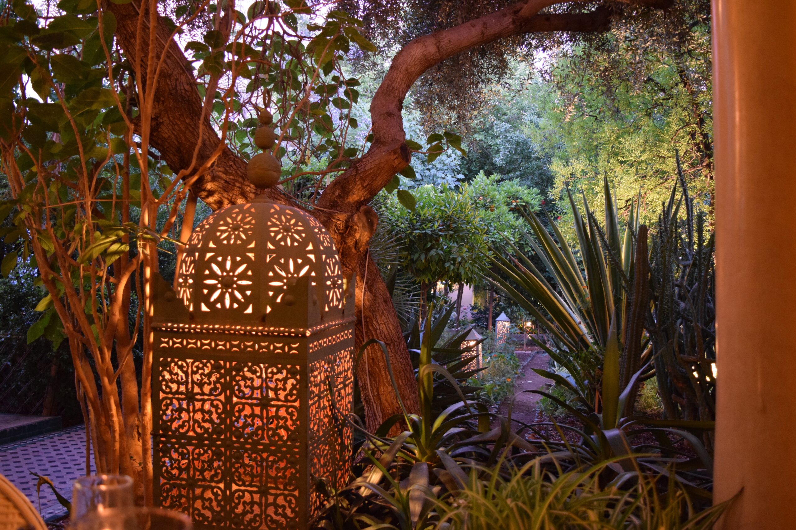 Fez Café Le Jardin des Biehn Dinner Lunch Courtyard Where to Eat in Fes Fez Morocco Food Foodie Best of Morocco garden