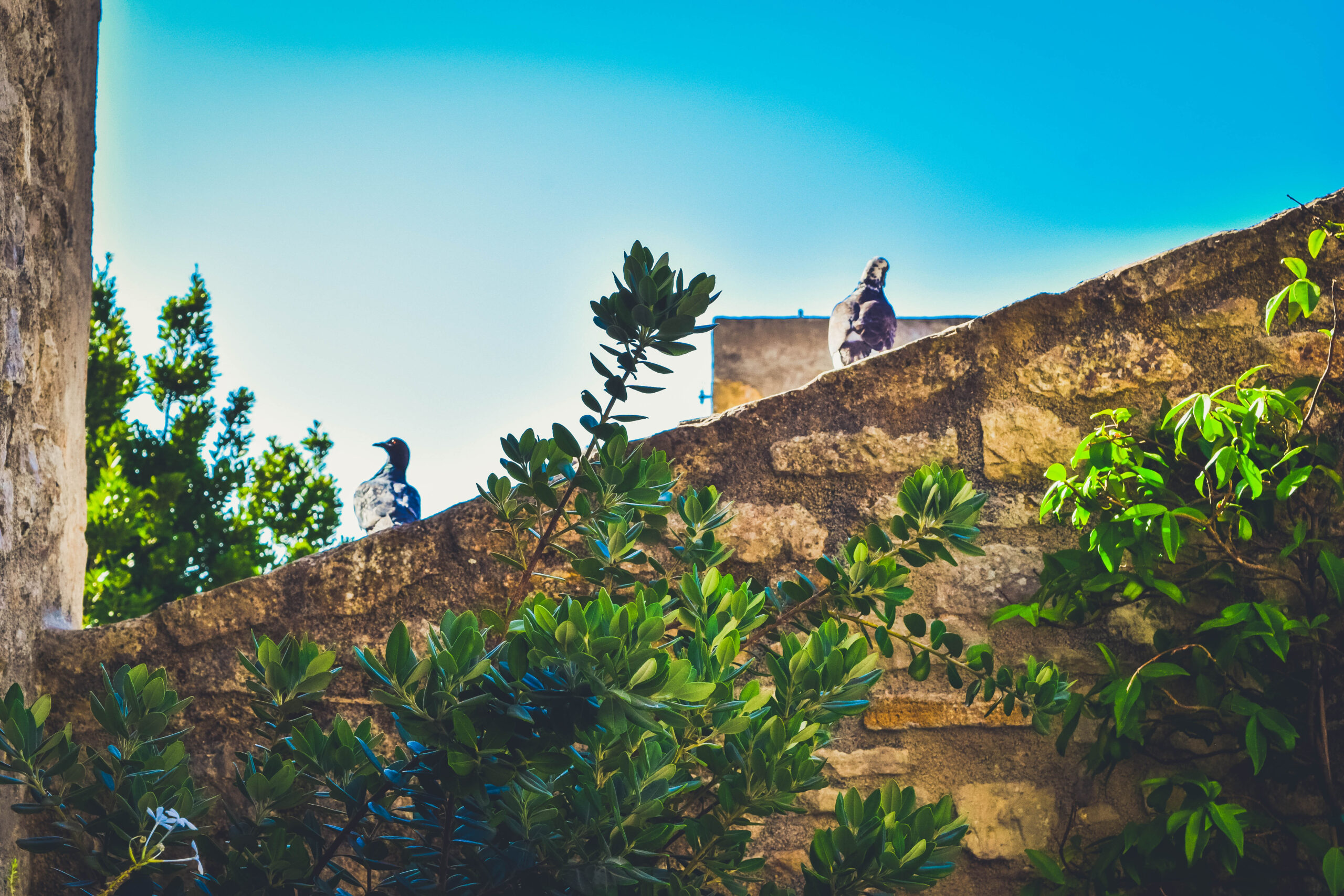 Where to Stay in SIcily Erice Pietre Antiche Apartments Mountain Italia Review Airbnb bed and breakfast rare jewel best place to stay svadore