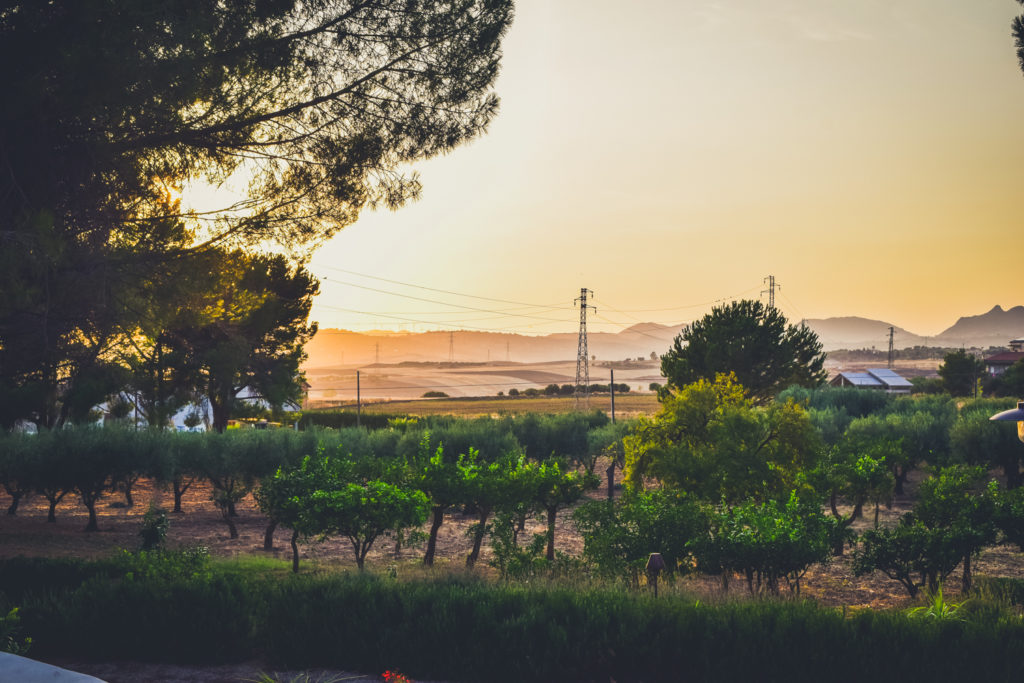 Travel guide to sicily fontes episcopi bio resort where to stay in sicily sicilia near agrigento italy-35