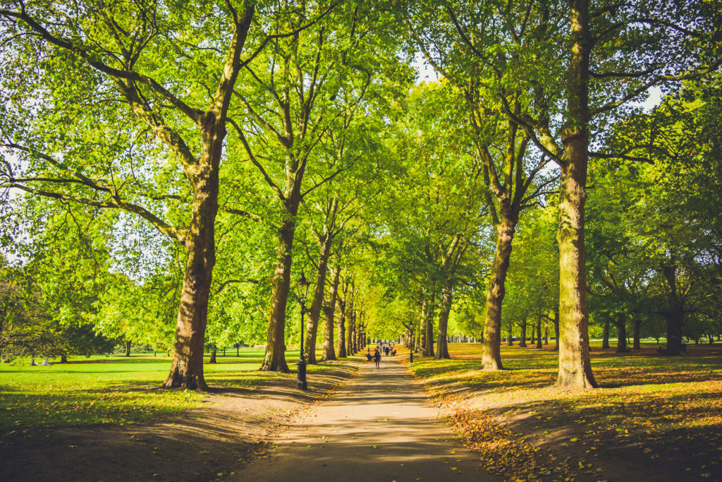 Travel guide to london uk blog what to do what to see where to go 3 days-4-2