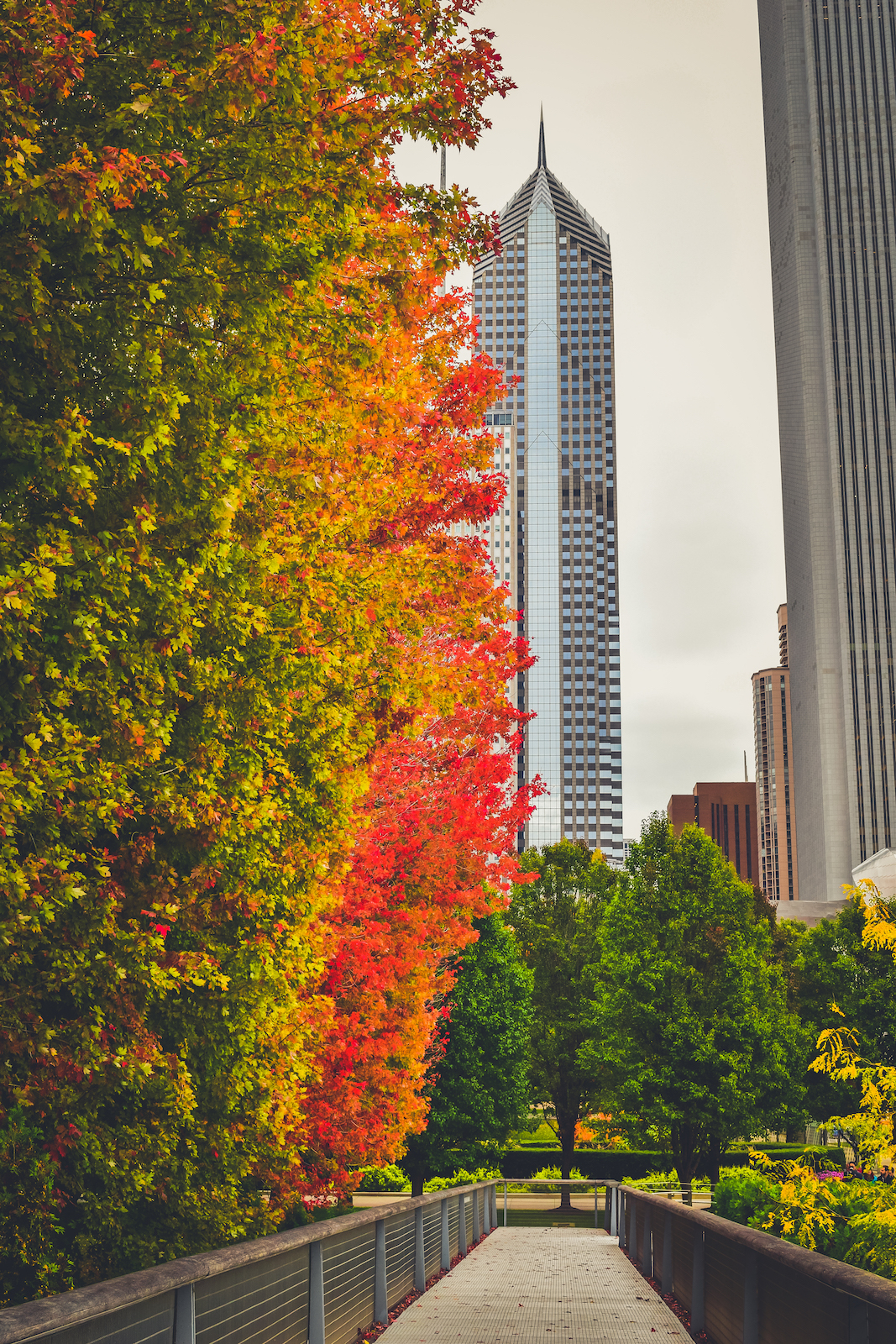 A First Timers Weekend City Guide to Chicago Millennium Park Fall time autumn Travel guide to chicago illinois blog what to do what to see where to go 3 days-1