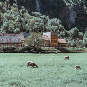 A Taste of Rural Norway: 29|2 Aurland How-To-Travel-In-Norway-Aurland-to-Flam-Ferry-292-Aurland-where-to-stay-in-Flam-Aurland-travel-blog-svadore where to stay in flam aurland farm stay in norway 4 Days in Norway: Oslo, Flam, Aurland, and Bergen