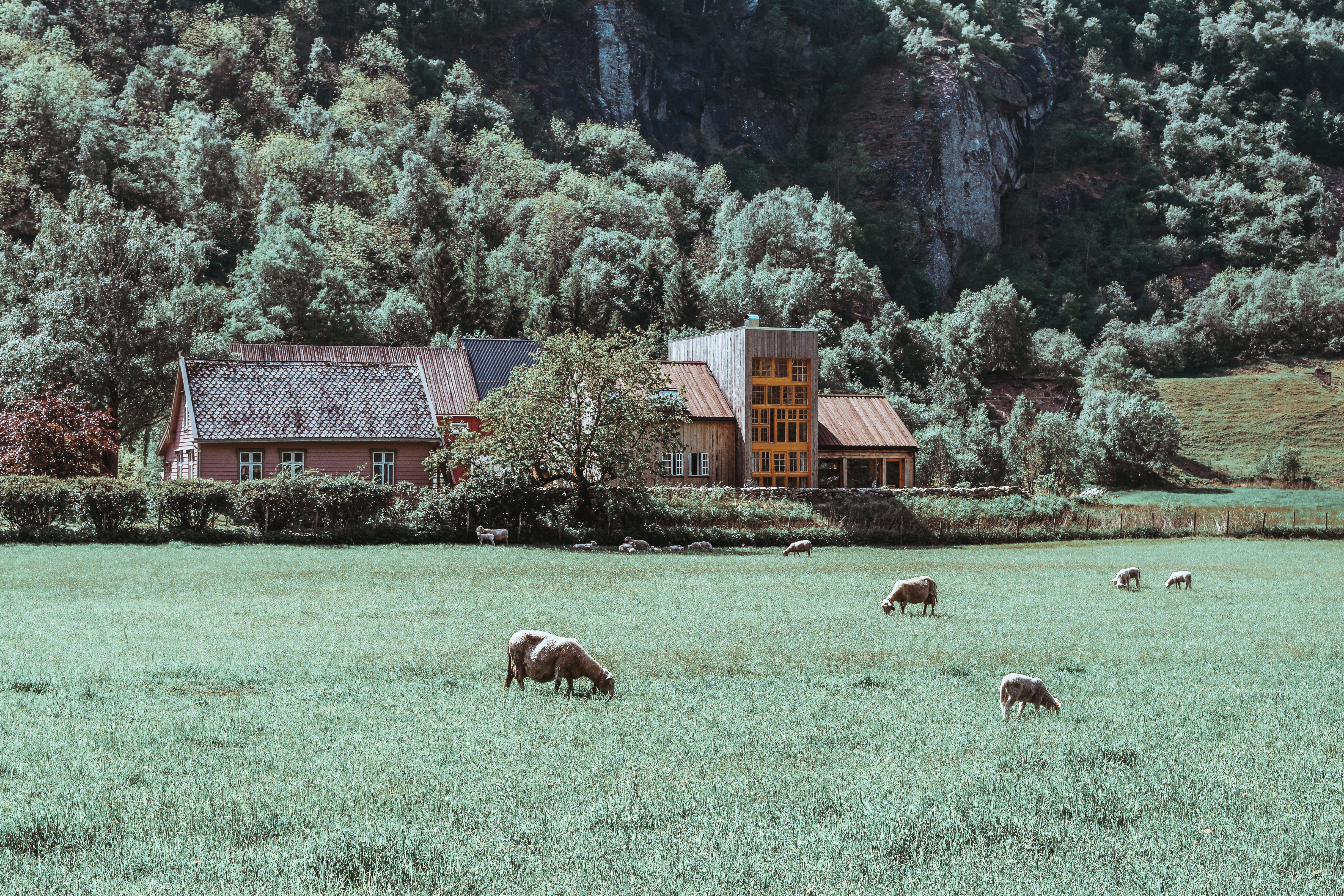 A Taste of Rural Norway: 29|2 Aurland How-To-Travel-In-Norway-Aurland-to-Flam-Ferry-292-Aurland-where-to-stay-in-Flam-Aurland-travel-blog-svadore where to stay in flam aurland farm stay in norway 4 Days in Norway: Oslo, Flam, Aurland, and Bergen