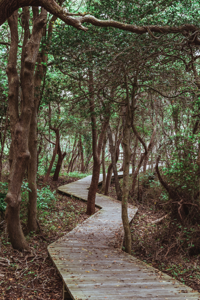 What To Do On Fire Island: Sunken Forest, Sailors Haven Fire Island Sunken Forest Sailors Haven Long Island Summer Travel Guide What to Do Beach food Surf-1-6