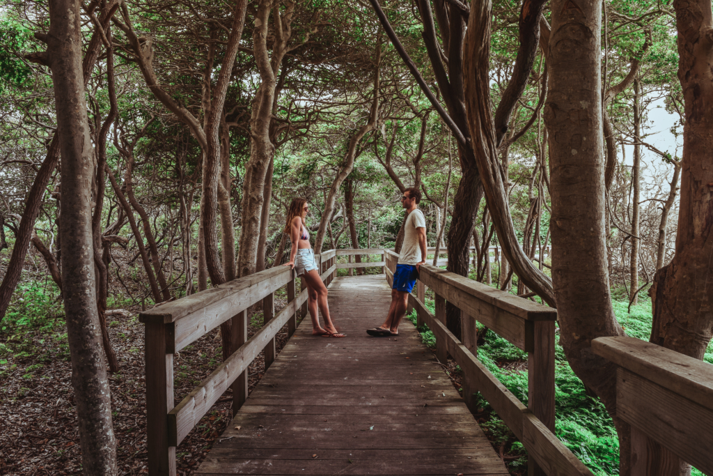 What To Do On Fire Island: Sunken Forest, Sailors Haven Fire Island Sunken Forest Sailors Haven Long Island Summer Travel Guide What to Do Beach food Surf-1-6