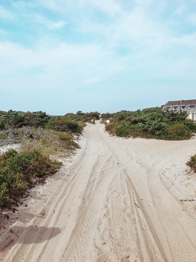 What To Do On Fire Island: Sunken Forest, Sailors Haven Fire Island Sunken Forest Sailors Haven Long Island Summer Travel Guide What to Do Beach food Surf-1-6