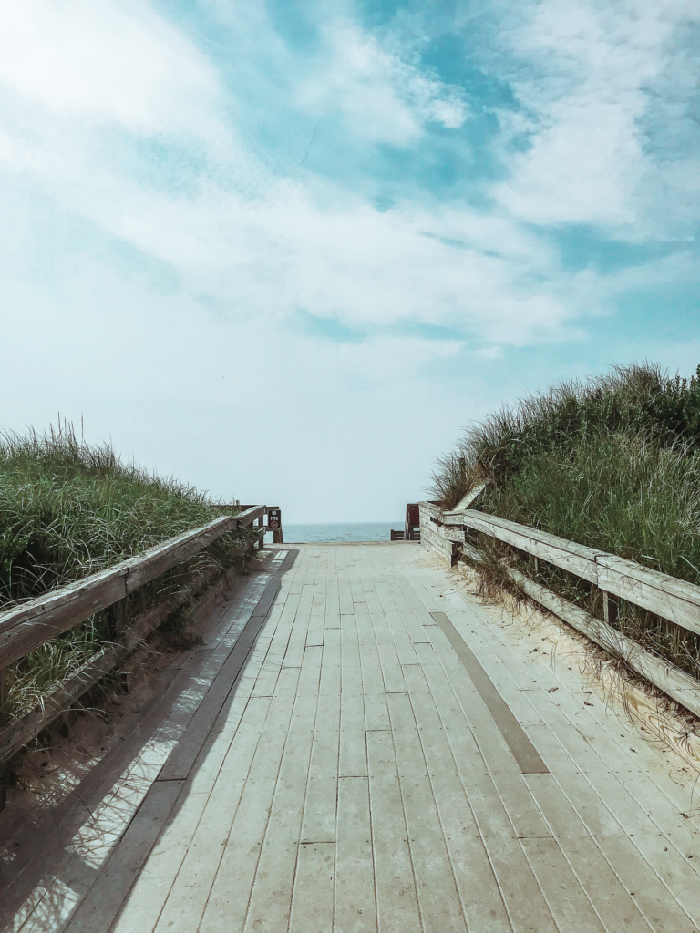 What To Do On Fire Island: Sunken Forest, Sailors Haven Fire Island Sunken Forest Sailors Haven Long Island Summer Travel Guide What to Do Beach food Surf-1-6