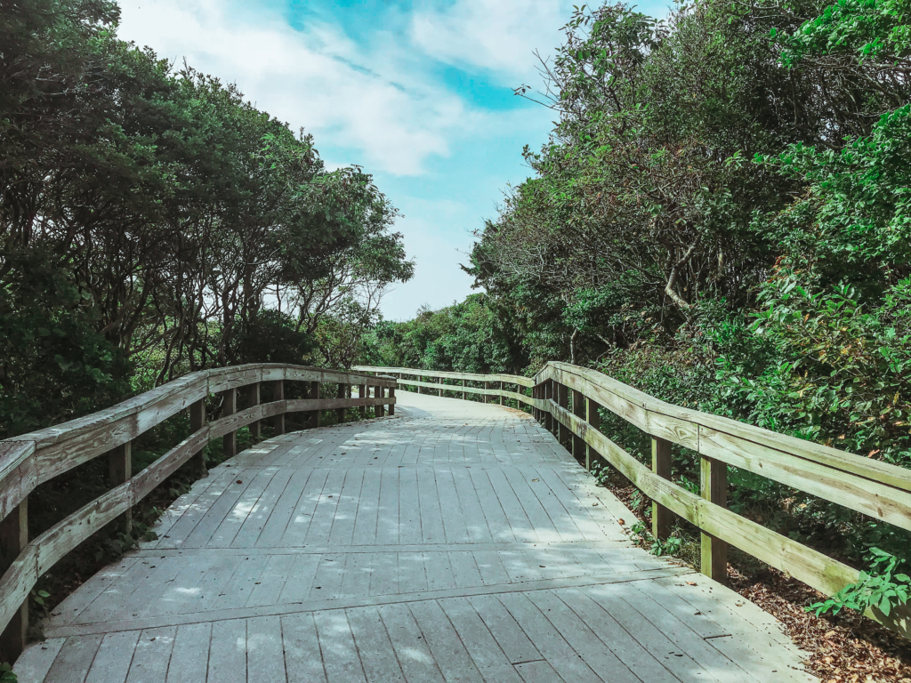 What To Do On Fire Island: Sunken Forest, Sailors Haven Fire Island Sunken Forest Sailors Haven Long Island Summer Travel Guide What to Do Beach food Surf-1-6