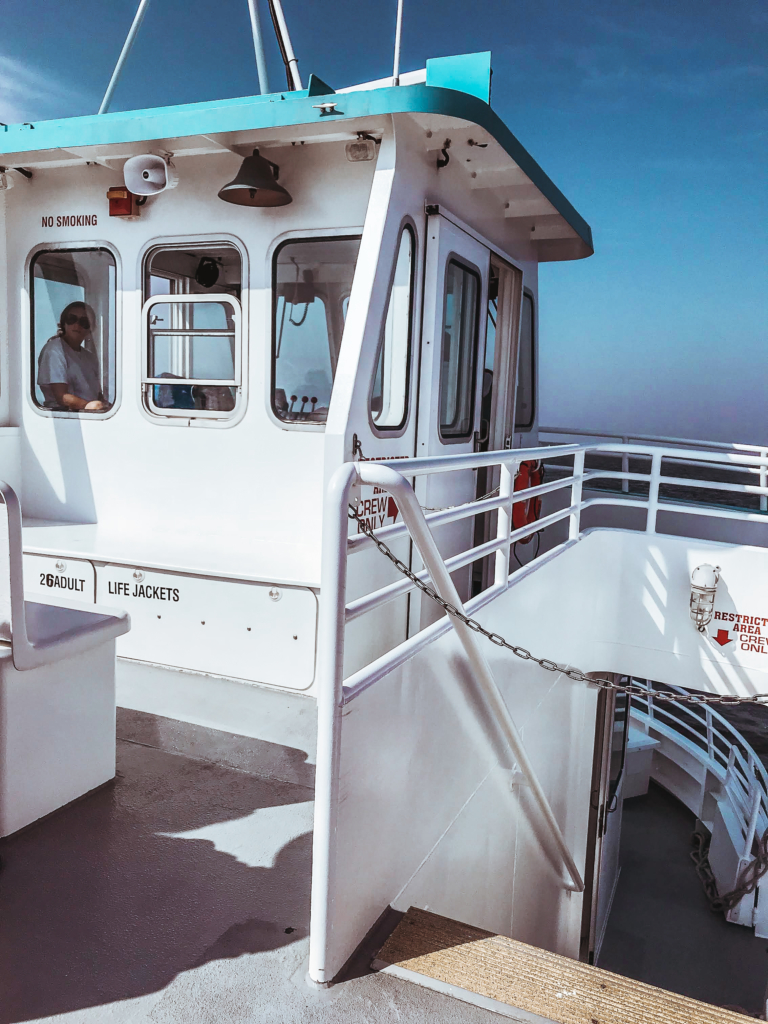 What To Do On Fire Island: Sunken Forest, Sailors Haven Fire Island Sunken Forest Sailors Haven Long Island Summer Travel Guide What to Do Beach food Surf-1-6