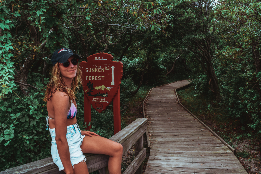 What To Do On Fire Island: Sunken Forest, Sailors Haven  