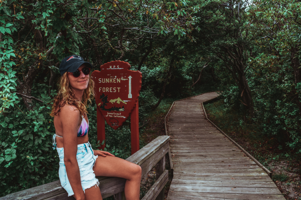 What To Do On Fire Island: Sunken Forest, Sailors Haven