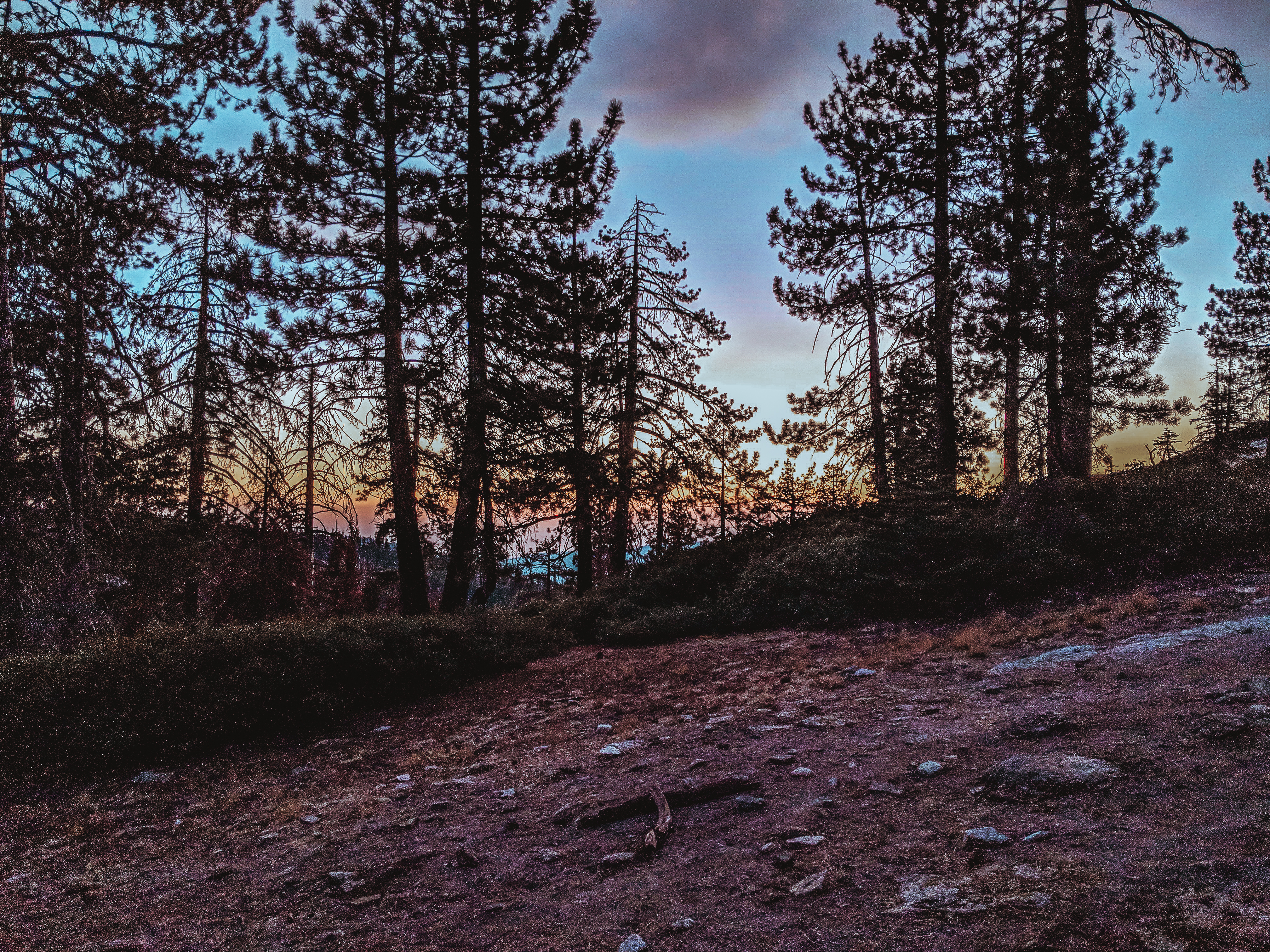 The Best Sunset in Yosemite: Sentinel Dome Yosemite Sentinel Dome Taft Point Travel Guide California Road trip SVADORE travel blog-1-15