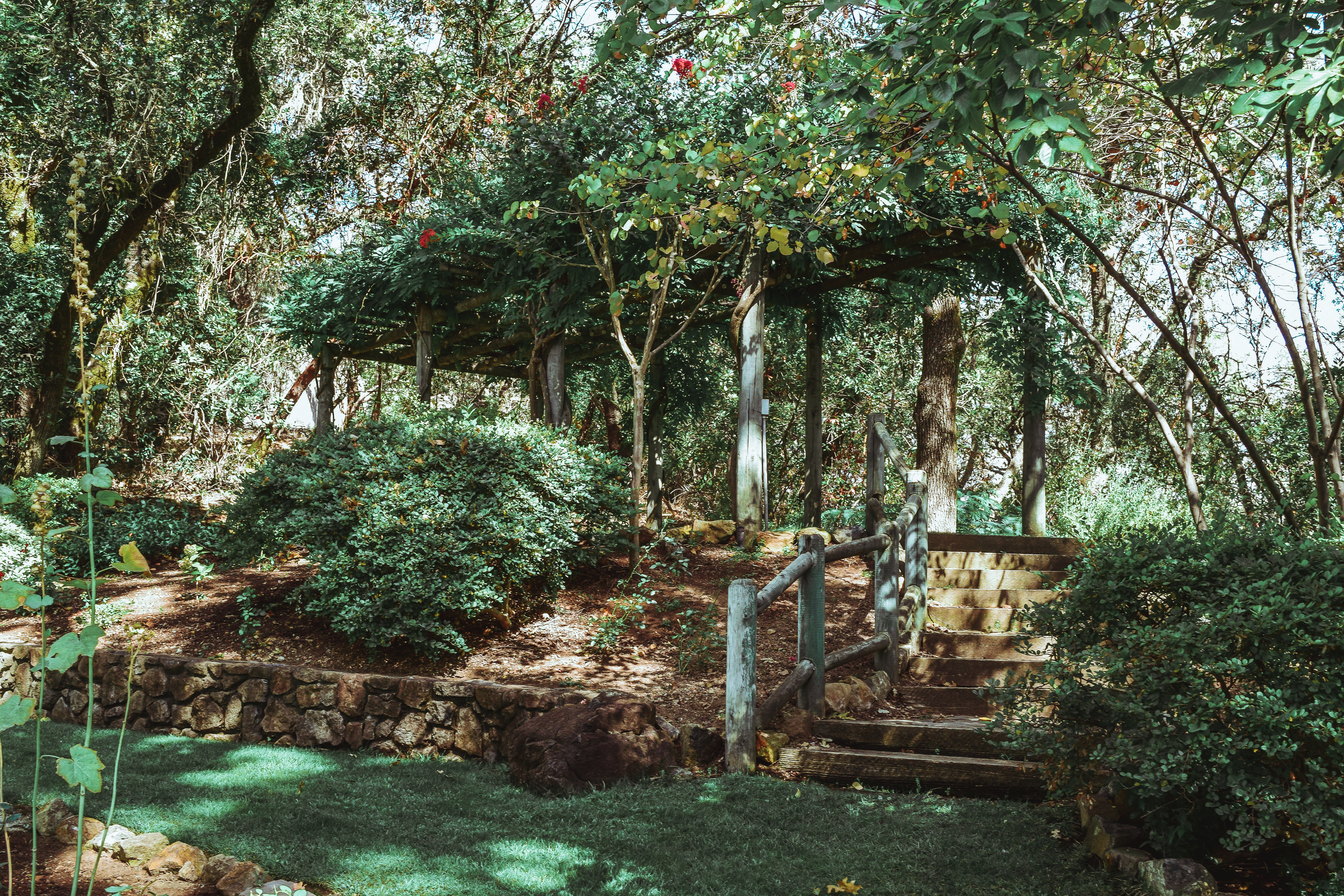 Seduced by a Black Label at Sinegal Estate, Napa Valley Sinegal Estate Winery St. Helena Napa Valley Travel Guide California Road trip SVADORE travel blog-1-2