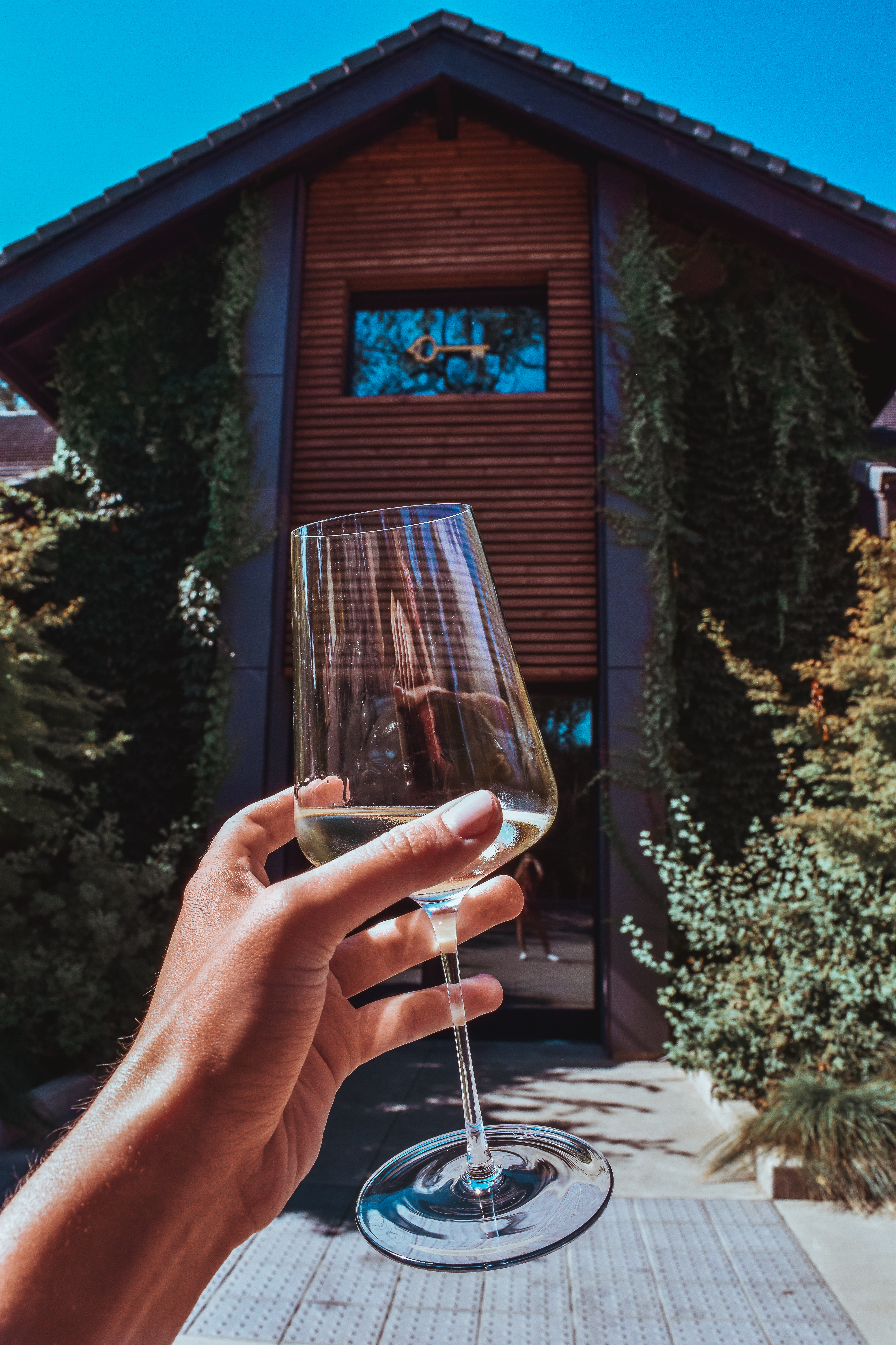 Seduced by a Black Label at Sinegal Estate, Napa Valley Sinegal Estate Winery St. Helena Napa Valley Travel Guide California Road trip SVADORE travel blog-1-2