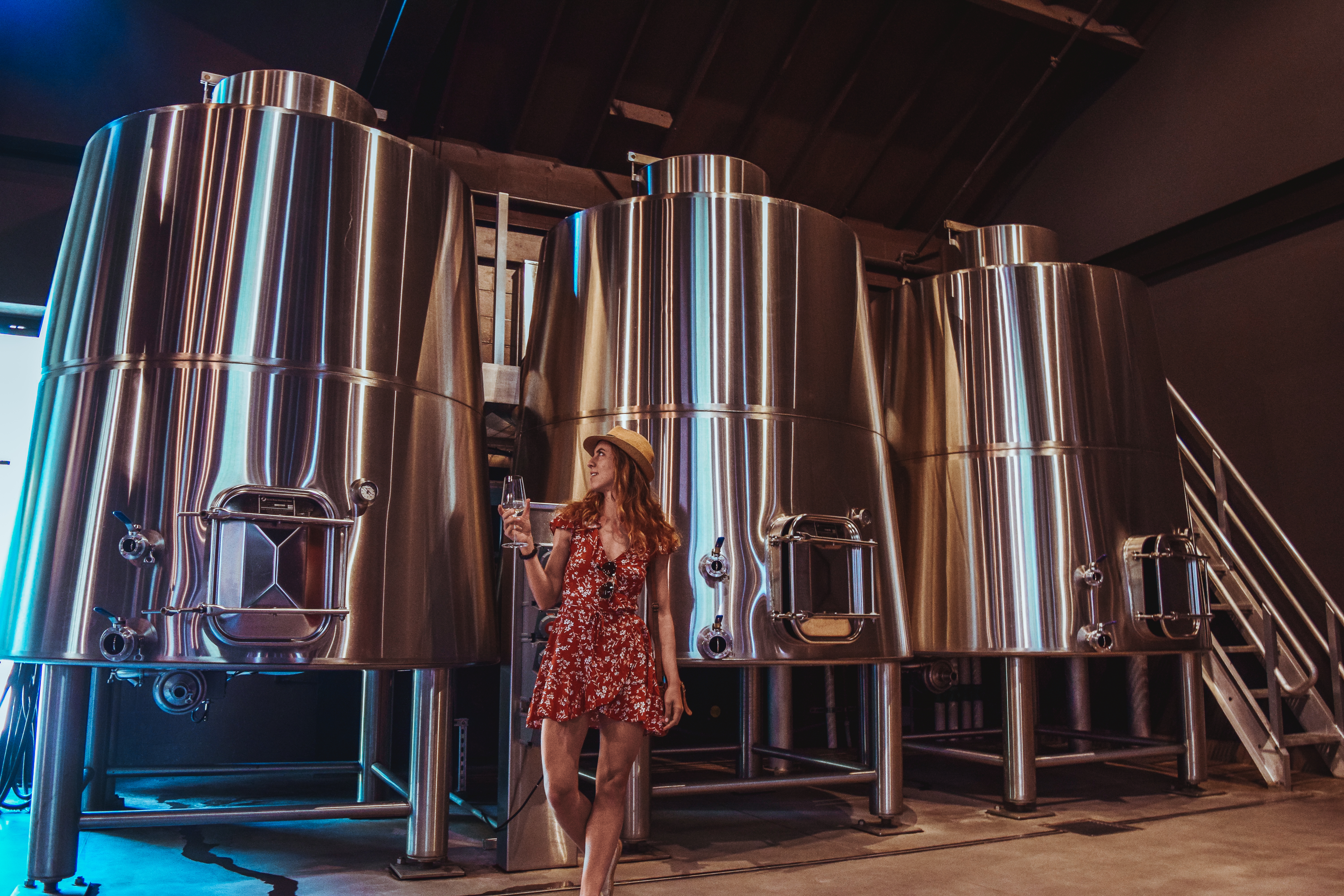 Seduced by a Black Label at Sinegal Estate, Napa Valley Sinegal Estate Winery St. Helena Napa Valley Travel Guide California Road trip SVADORE travel blog-1-2