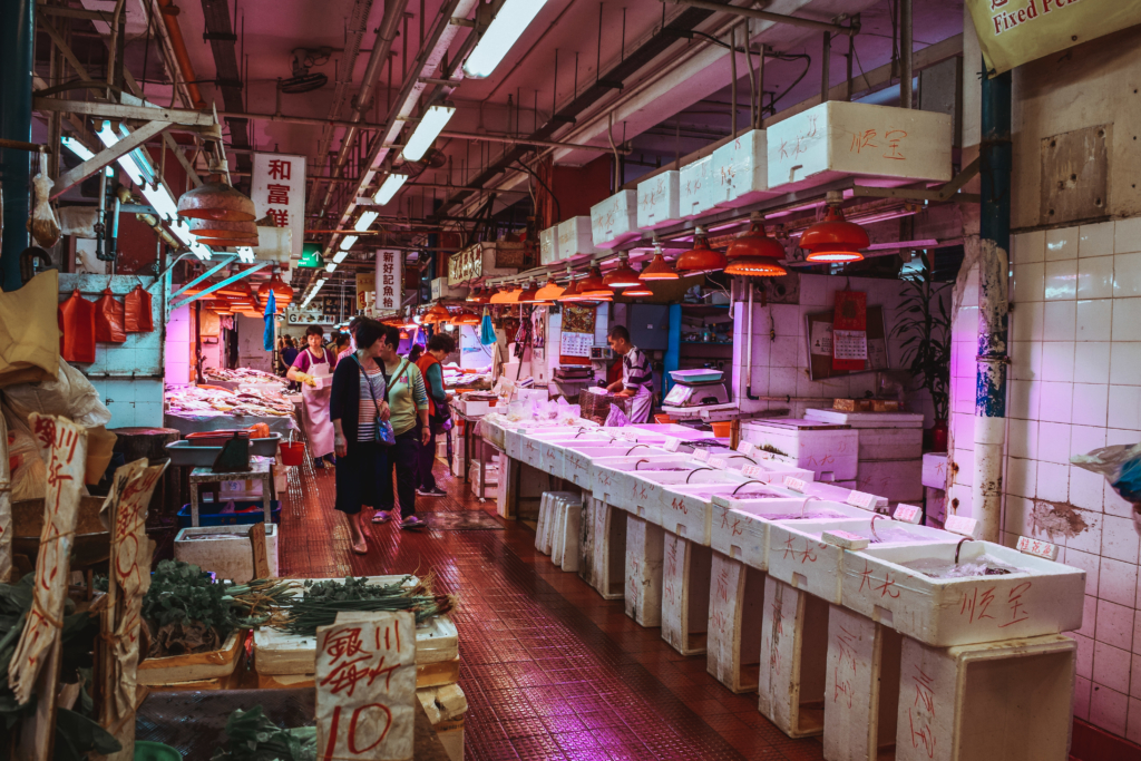 2 DAYS IN HONG KONG: A TRAVEL GUIDE TO CENTRAL AND OUTSKIRTS Exploring Kowloon, Hong Kong: Fa Yuen Street Fish Market Hong Kong 2 day Travel Guide two days china asia svadore what to do where to eat -1-4