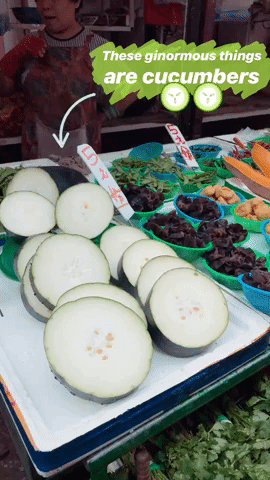 Exploring Kowloon, Hong Kong: Mongkok Ladies Market and Wet Market 2 DAYS IN HONG KONG: A TRAVEL GUIDE TO CENTRAL AND OUTSKIRTS