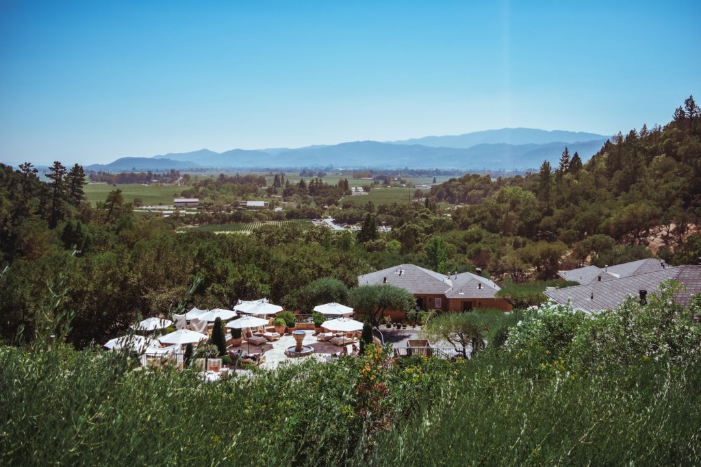 Auberge du Soleil: Lunch with a View in Napa Valley Auberge du Soleil where to eat in st. helena napa valley lunch views of wineries rolling hills travel blog SVADORE -10