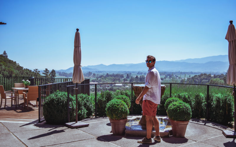 Auberge du Soleil: Lunch with a View in Napa Valley Auberge du Soleil where to eat in st. helena napa valley lunch views of wineries rolling hills travel blog SVADORE -10