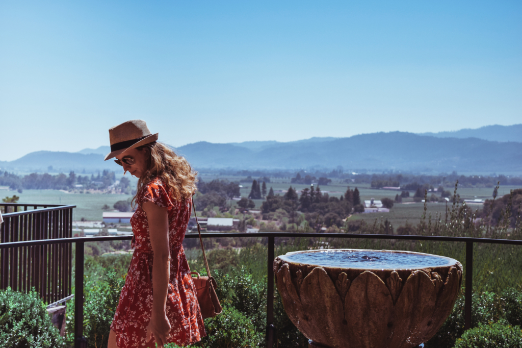 Auberge du Soleil: Lunch with a View in Napa Valley Auberge du Soleil where to eat in st. helena napa valley lunch views of wineries rolling hills travel blog SVADORE -10