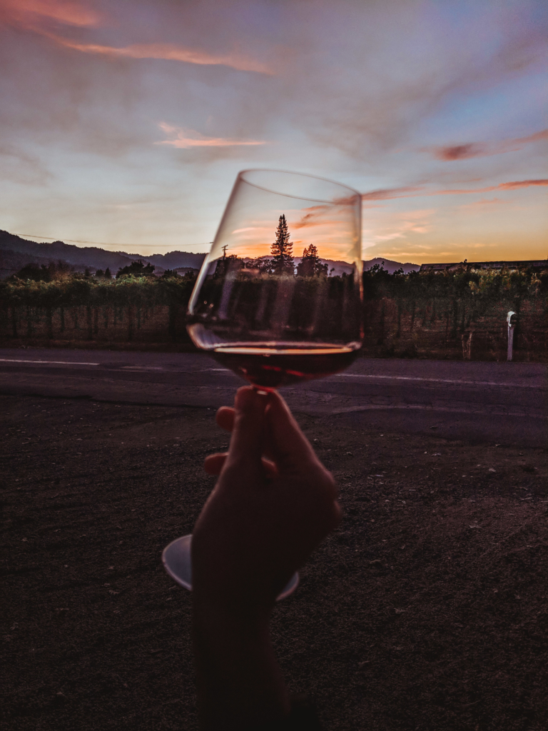 Napa Valley The Ink House Antonio Castellucci Wines Wine Tasting Flight St. Helena SVADORE Travel blog where to drink wine in st. helena travel itinerary napa valley-1-6