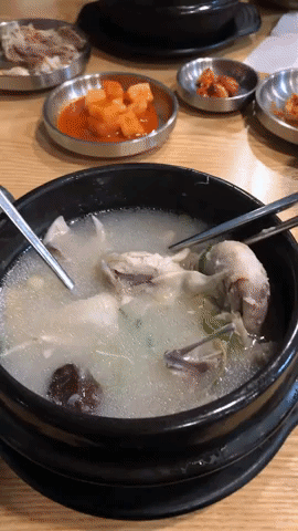 Korean Ginseng Chicken Soup at Baengnyeon Samgyetang, Seoul Cheong Yeon Jae Bukchon Hanok Village Where to stay in seoul hanok korea south korea travel blog what to do travel guide svadore-1