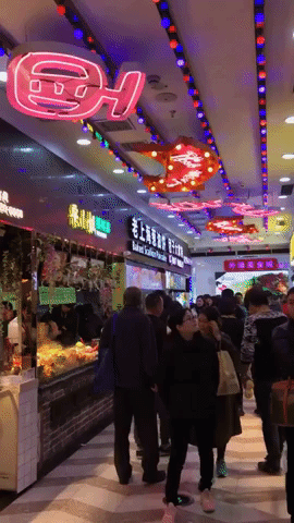 bund food terminal east nanjing road Huangpu Qu what to do in shanghai travel guide travel blog SVADORE china asia -1-6