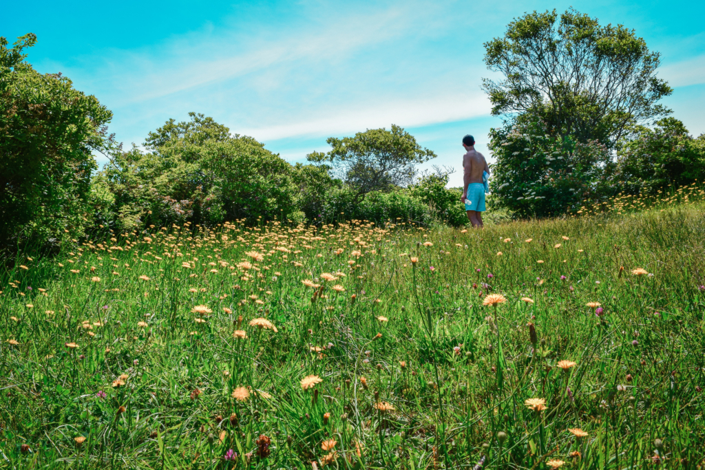 Vail Beach: The Beach Hidden Behind Mohegan Bluffs