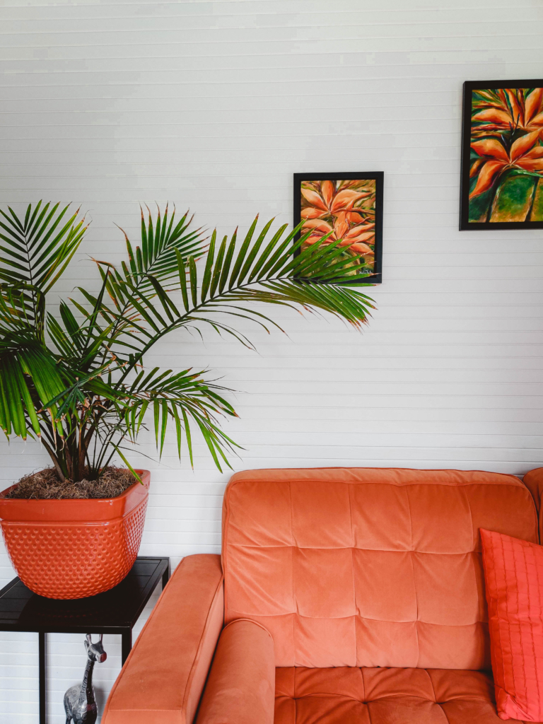 Places to Stay in Martha's Vineyard: Nobnocket Boutique Inn martha's vineyard vineyard haven mv hotels cape cod luxury svadore travel blog