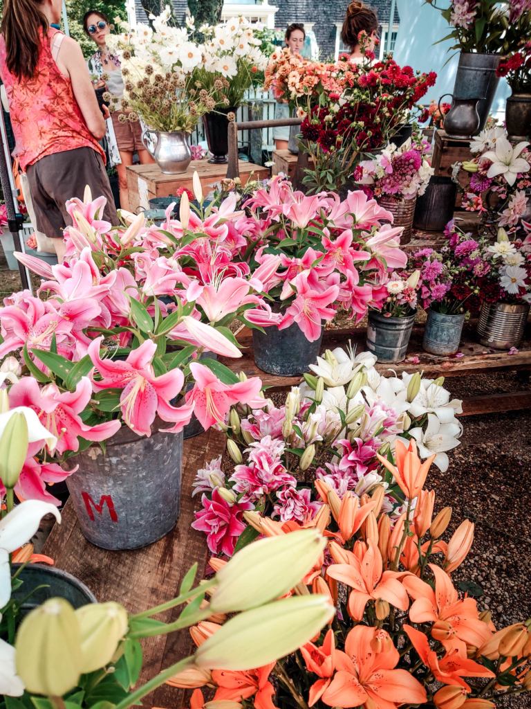 Meet the Artisans of the West Tisbury Farmers Market 15 Things to Do on Martha's Vineyard That Cover All The Bases