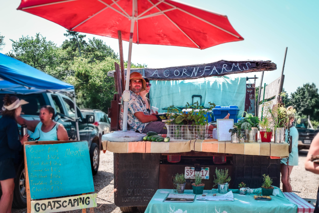 Meet the Artisans of the West Tisbury Farmers Market