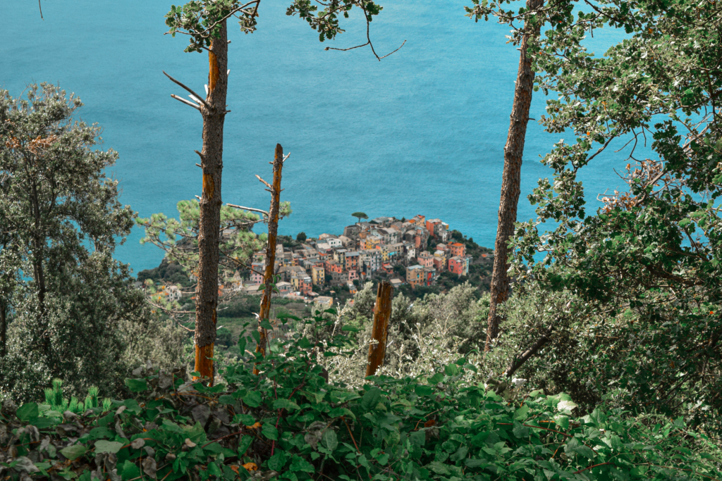 Why are Le Cinque Terre a UNESCO World Heritage Site?