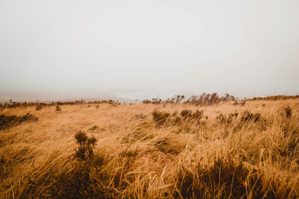 Explore Connemara National Park: Diamond Hill