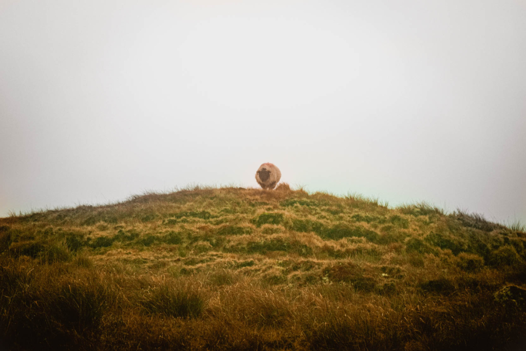 Driving the Wild Atlantic Way Connemara Loop, Ireland