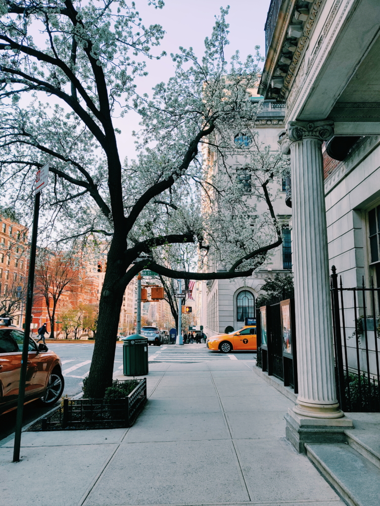 A Timeline of How the Coronavirus Impacted My Life and Travels in the Last 7 Days new york impact travel industry covid-19