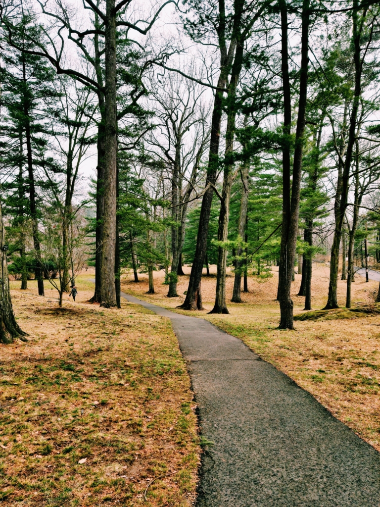 13 Things to Do When Your Social Distancing at Home