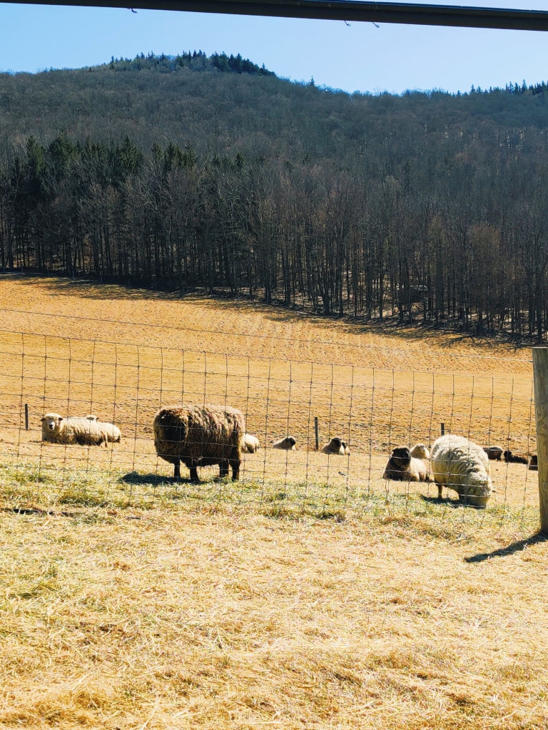 Social Distancing Outdoors, The Right Way coronavirus covid-19