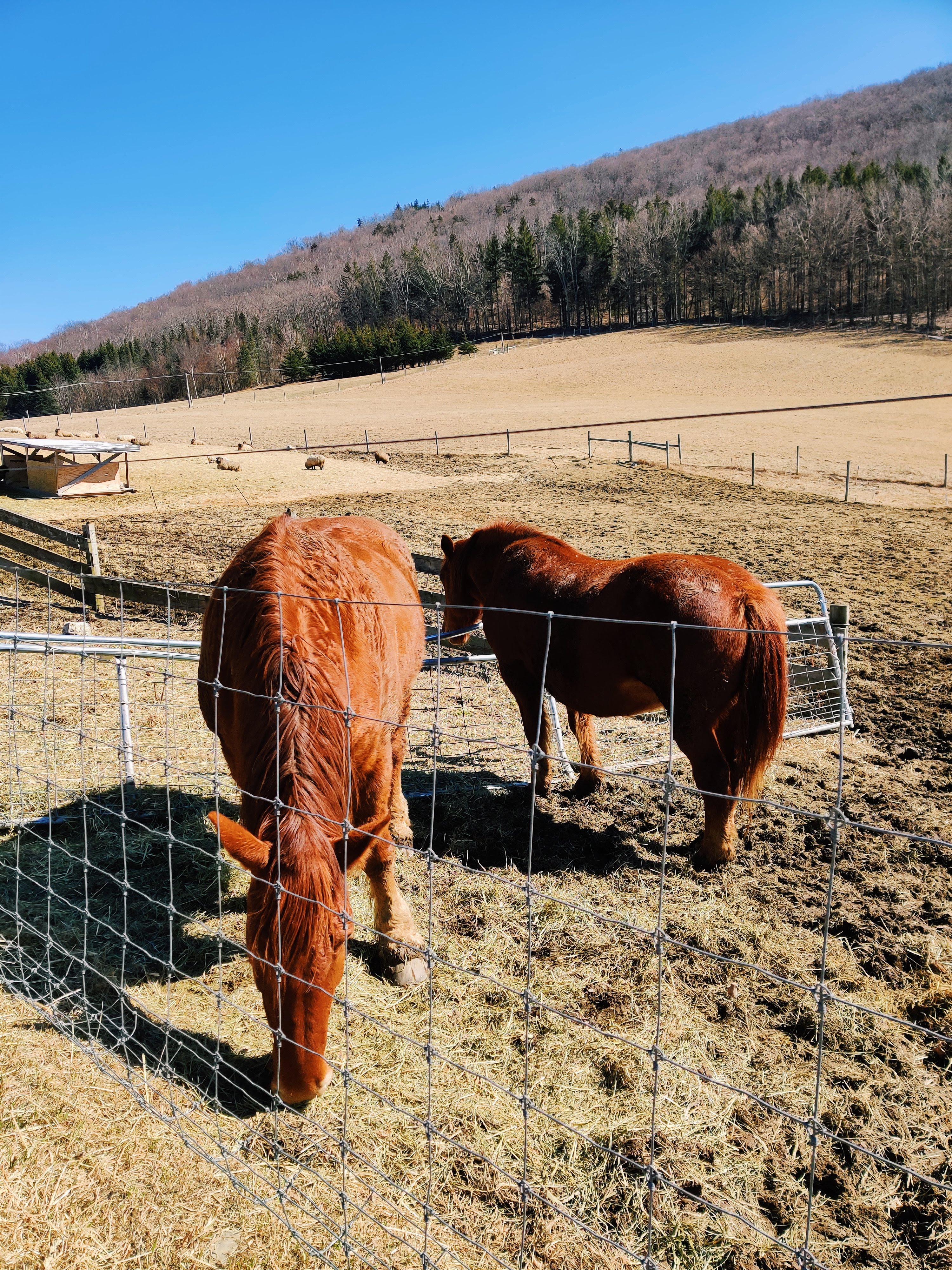 Social Distancing Outdoors, The Right Way coronavirus covid-19