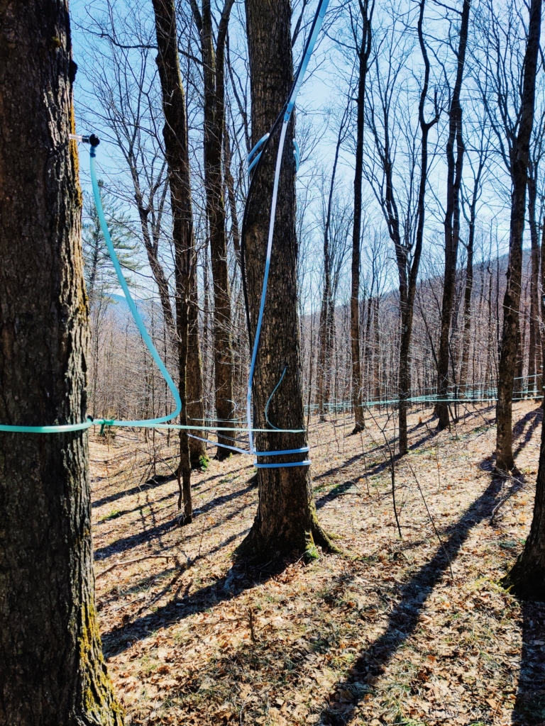 Social Distancing Outdoors, The Right Way coronavirus covid-19