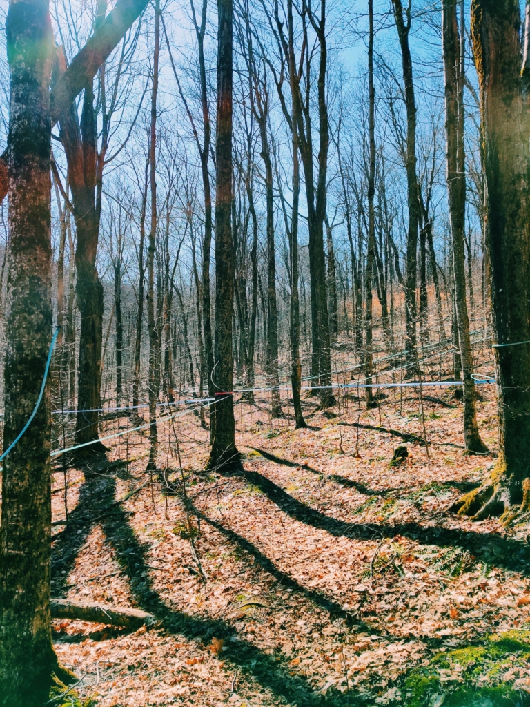 Social Distancing Outdoors, The Right Way coronavirus covid-19