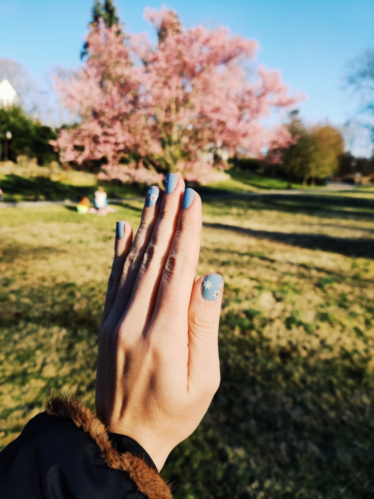 13 Things to Do When Your Social Distancing at Home