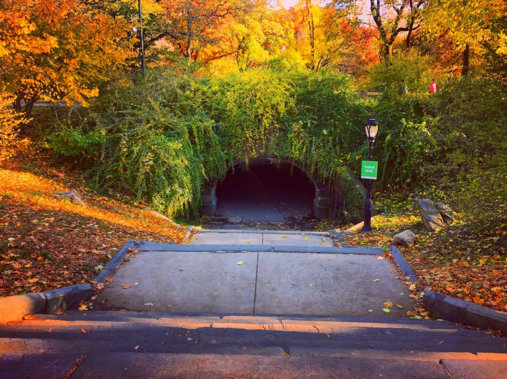 Things to Do in Central Park NYC: The Ultimate Guide! trefoil arch
