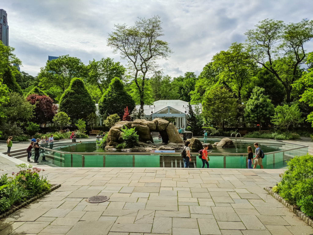 Things to Do in Central Park NYC: The Ultimate Guide! central park zoo