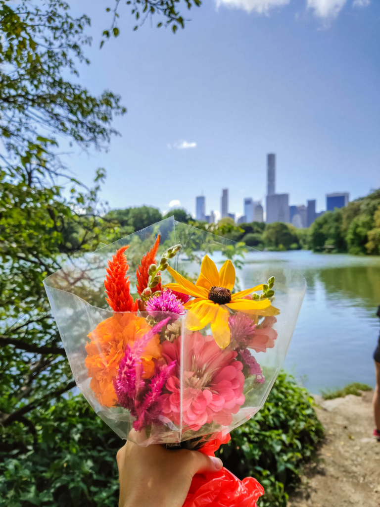 Things to Do in Central Park NYC: The Ultimate Guide! hernshead