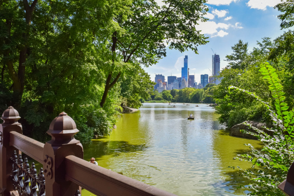 Things to Do in Central Park NYC: The Ultimate Guide! oak bridge