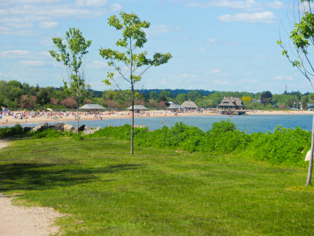 A Day at Greenwich Point Beach, Tod's Point